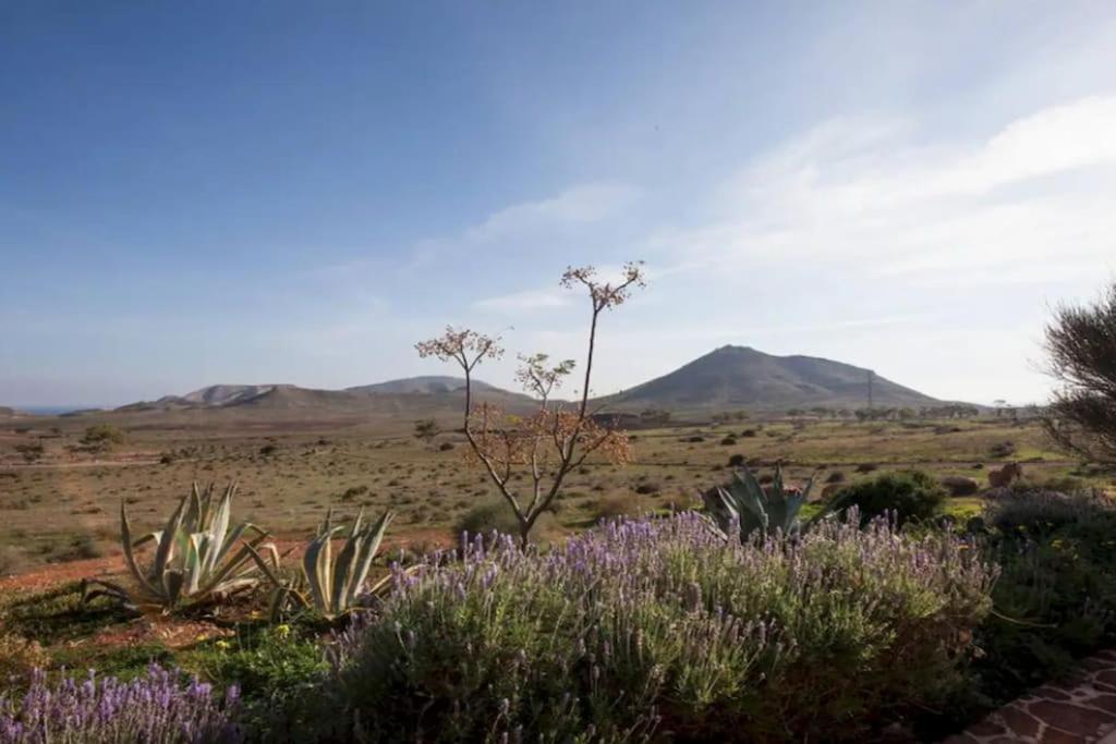 El Risco Colorado, Cabo De Gata Villa Родалкилар Екстериор снимка
